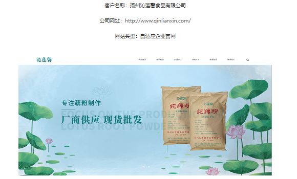 扬州网站优化公司